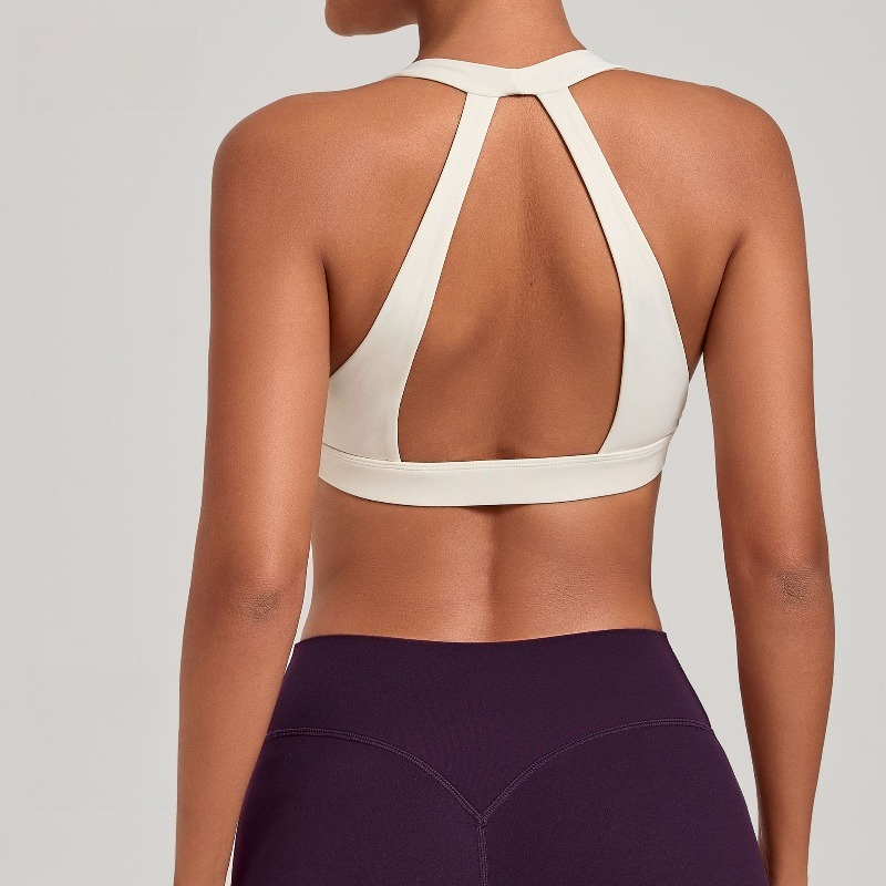 Samless Women's Gym Workout Sp - Sports Bra High Impact review and price