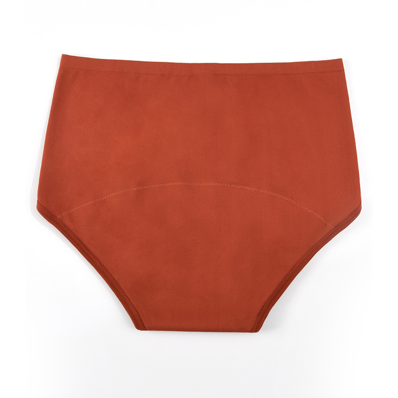 Women’s Seamless Period Pantie - Period Panty Absorbent review and price