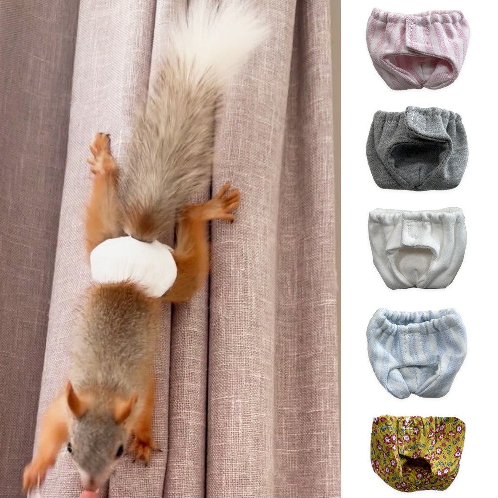 Absorbent Squirrel Diapers Lea - Period Panty Absorbent review and price
